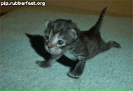 Фотография Ефимова Юры