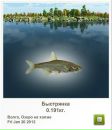 Робі Кошут фотография #19 (источник - https://vk.com/id96269647)
