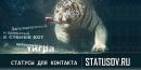 Фотография Юргулиса Андрея