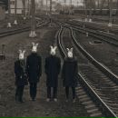 Фотография Stepanova Olga