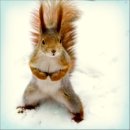 Ліля Фучко фотография #47 (источник - https://vk.com/id51533785)