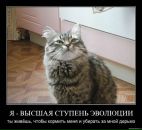 Софья Раппа фотография #8 (источник - https://vk.com/id3152804)