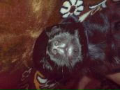 Віталік Волянський фотография #43 (источник - https://vk.com/id70052180)