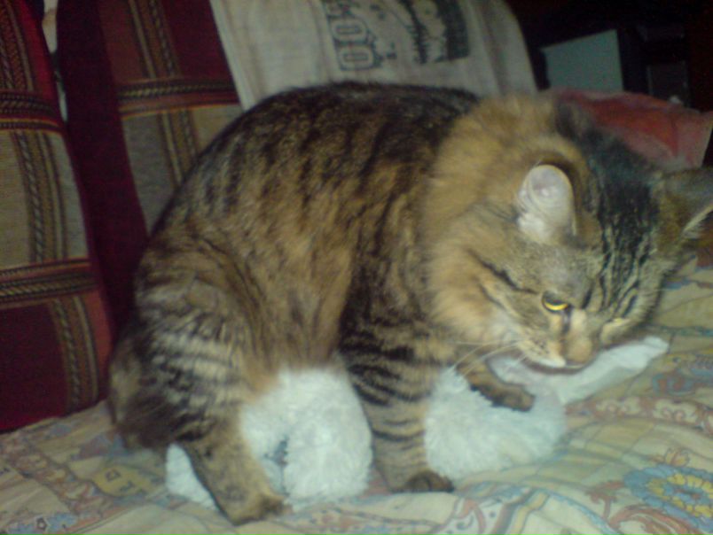 Валентин Супрун фото №49