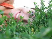 Фотография Вахонин Егор