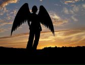 Станислав Савельев фотография #1