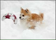 Фотография Иванова Константина