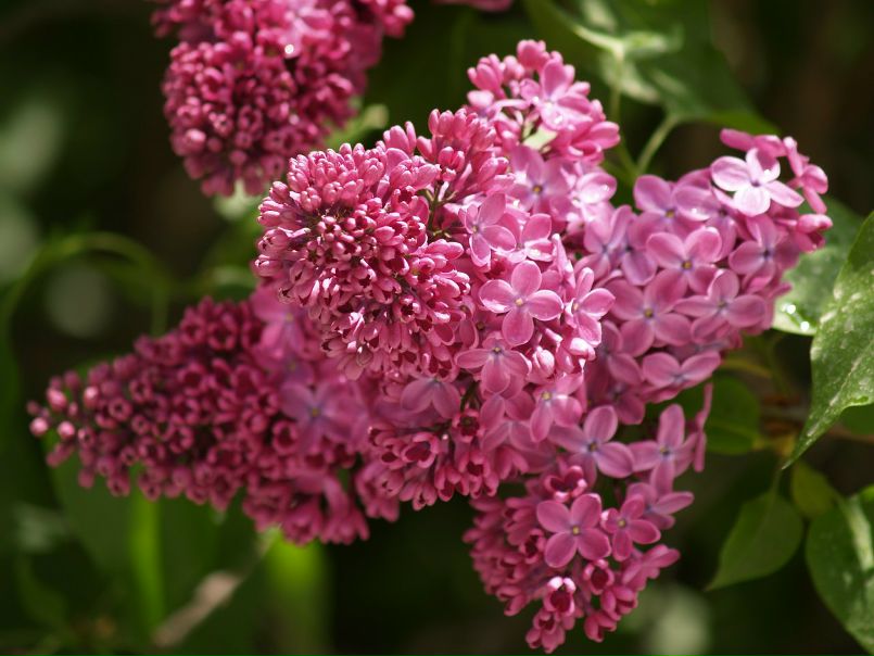 Ольга Попова фото №6