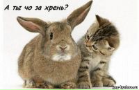 Фотография Костровой Натальи