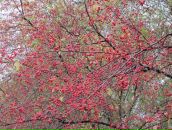 Фотография Прозоровой Марины