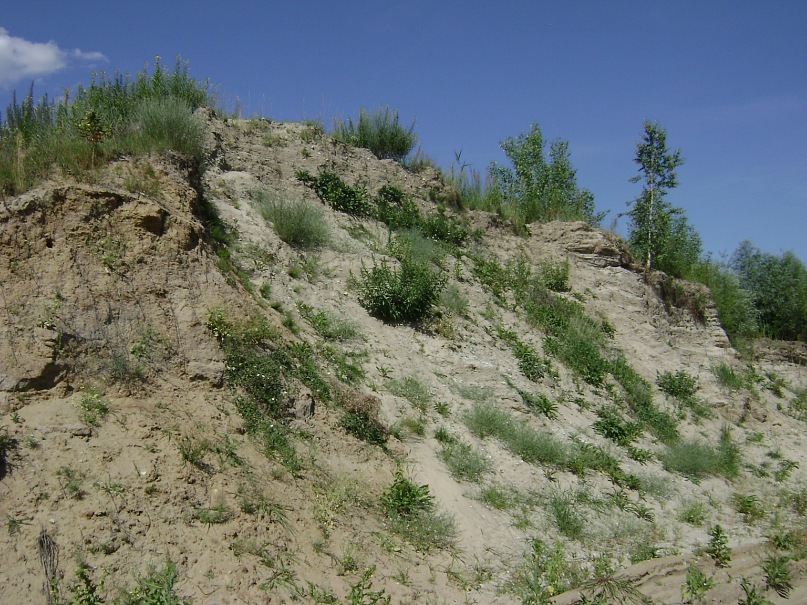 Алексей Мойсенко фотография #49