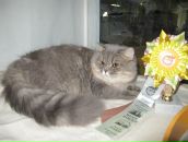 Фотография Коптев Алексей