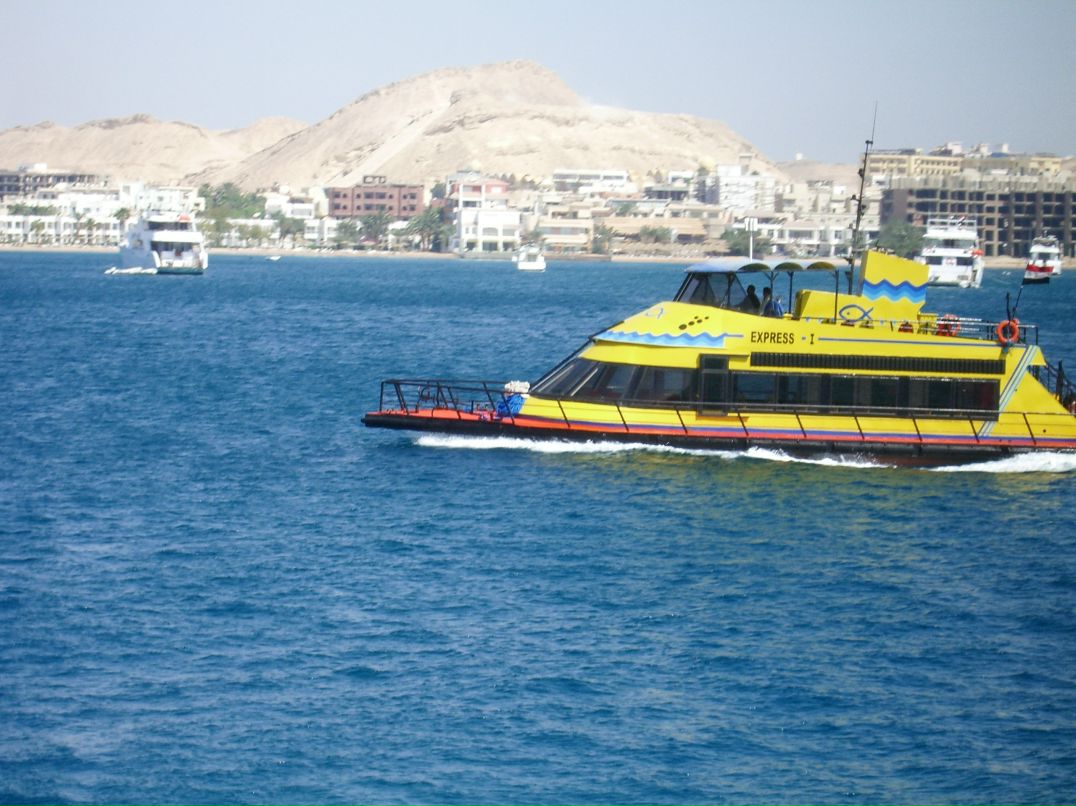 Дмитрий Лысов фотография #31