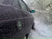 Фотография Быстрова Александра