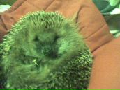 Фотография Трошиной Ольги