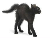 Фотография Окипняк Елены