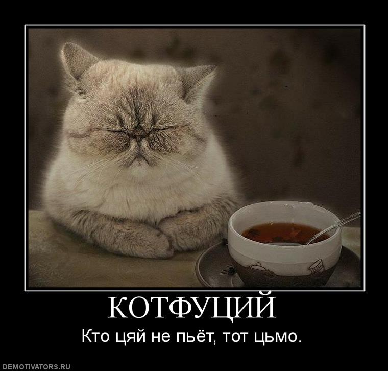 Дмитрий Романенко фотография #20