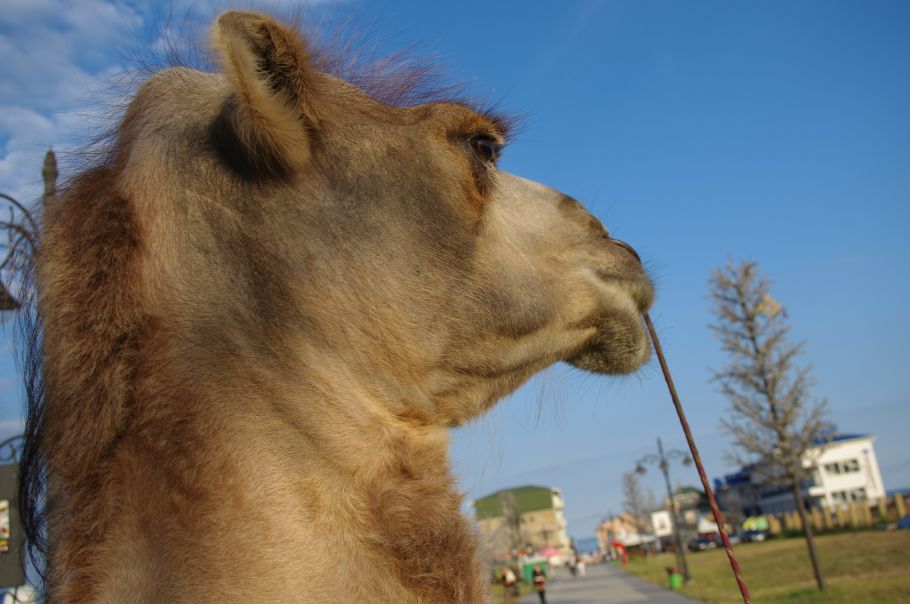 №19, Юлия Королева, Санкт-Петербург, Россия №19, Юлия Королева, Санкт-Петербург, Россия