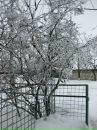 Фотография Пелеха Виктора