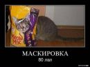 Олександр Коліс фотография #19 (источник - https://vk.com/id87375678)