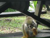 Александр Игнатенко фотография #37 (источник - https://vk.com/id24388063)