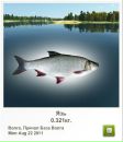 Ігор Пиць фотография #7 (источник - https://vk.com/id86825117)