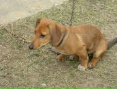 Фотография Карачалова Михаила