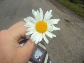 Назар Павлів фотография #42 (источник - https://vk.com/id26299511)