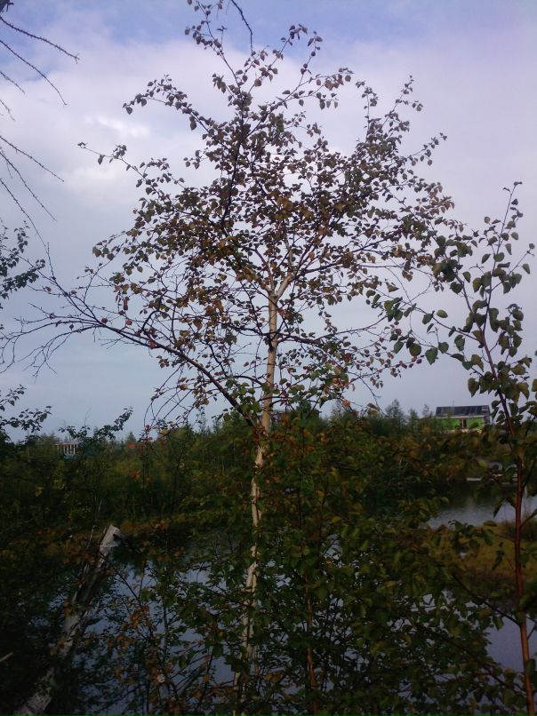 Иван Черников фотография #38