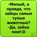Юля Савчук фотография #29 (источник - https://vk.com/id37055514)