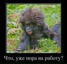 Фотография Краснова Романа