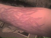 Фотография Губанищева Вани