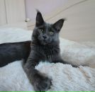 Фотография Манич Анны