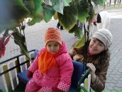 Фотография Смирновой Елены