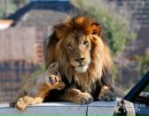 Фотография Григорьевой Марины