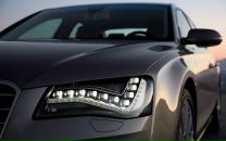 Фотография Солнышкиной Елены