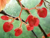 Фотография Rebenko Alex