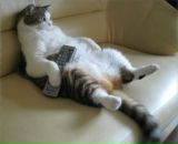 Фотография Паранчука Павла