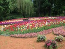 Оксана Карякіна фотография #21 (источник - https://vk.com/id137116637)
