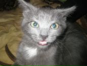 Фотография Нестеровой Анечки