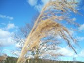 Иван Ганноченко фотография #30 (источник - https://vk.com/id9642393)