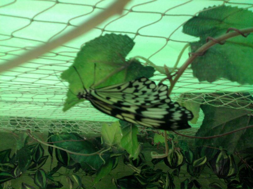 Катя Клименко фотография #17