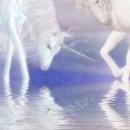 Марічка Кіцюня фотография #34 (источник - https://vk.com/id149621900)