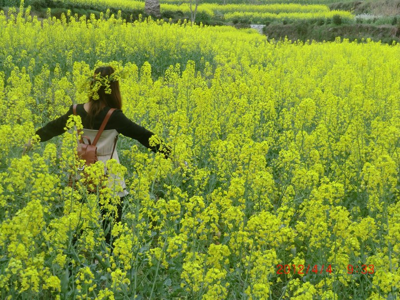 Лися Дэн фотография #28