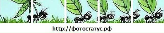 Вадім Пожарнік фотография #37 (источник - https://vk.com/id89720309)