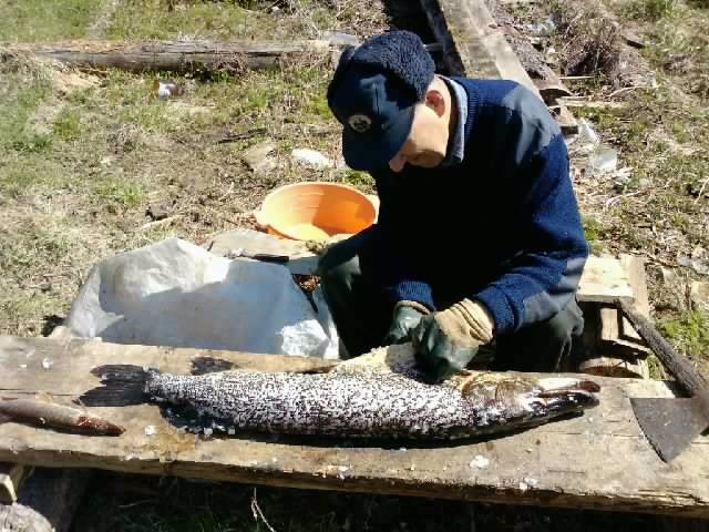 Дмитрий Хворостов фотография #40