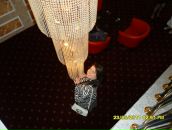 Фотография Желтышевой Татьяны