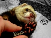 Фотография Кругловой Ани