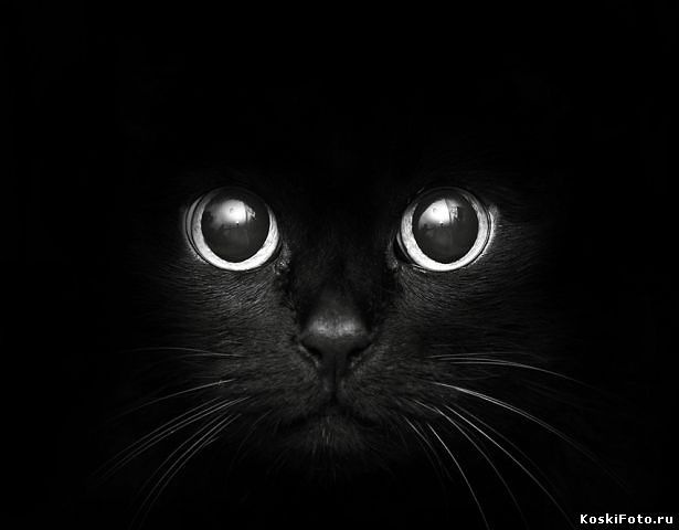 Бэлла Климанова фотография #16