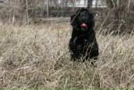 Фотография Киприяновой Юлии